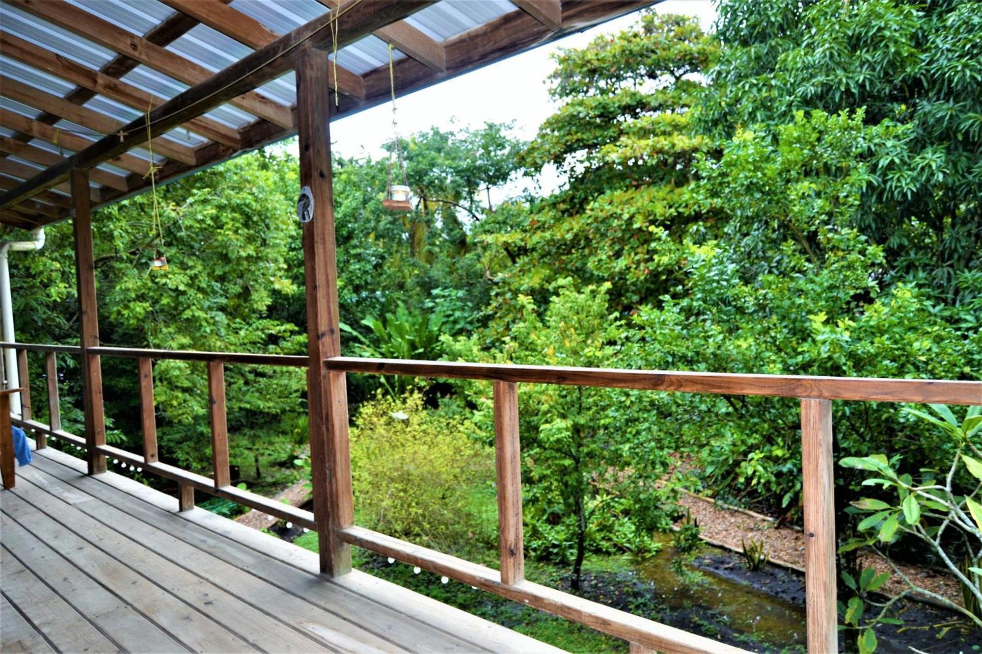 Sanpopo Tree Top Cottage San Ignacio Buitenkant foto